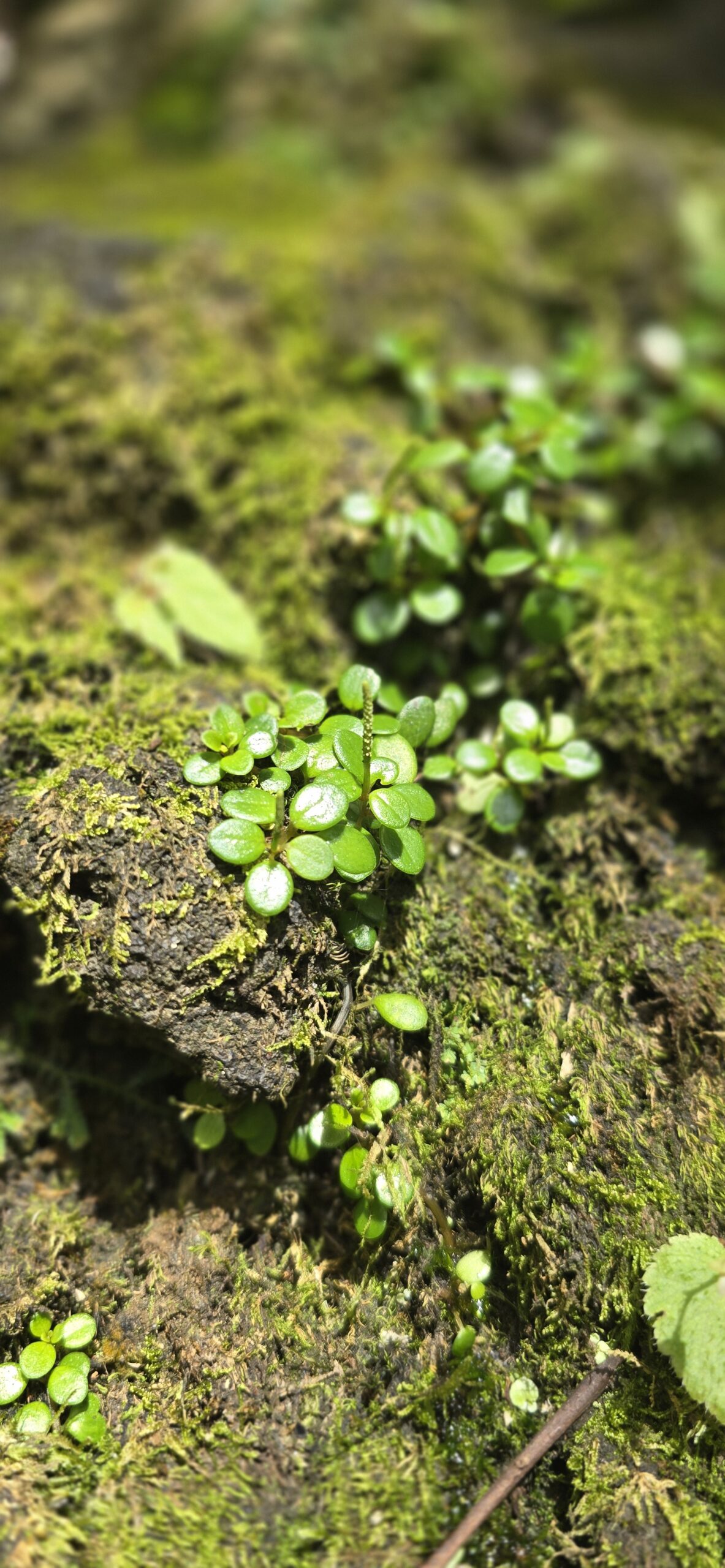 Die 1%-Methode – Kleine Schritte, große Wirkung